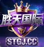 胜天国际